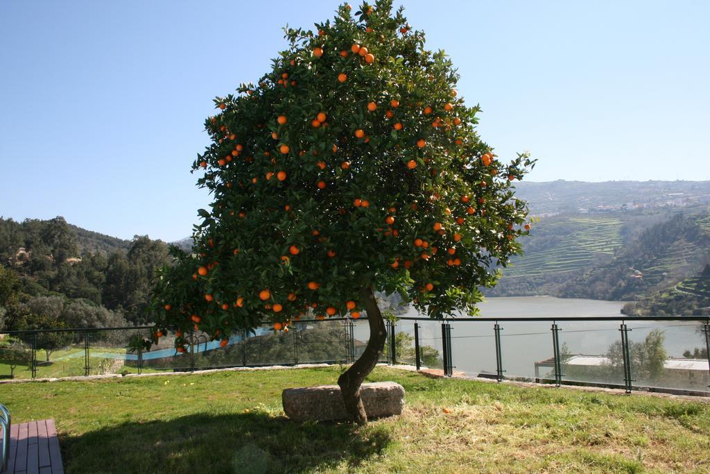 Quinta Das Quintas & Spa Baião Exteriör bild
