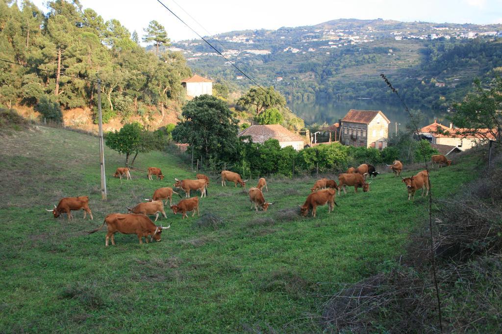 Quinta Das Quintas & Spa Baião Exteriör bild