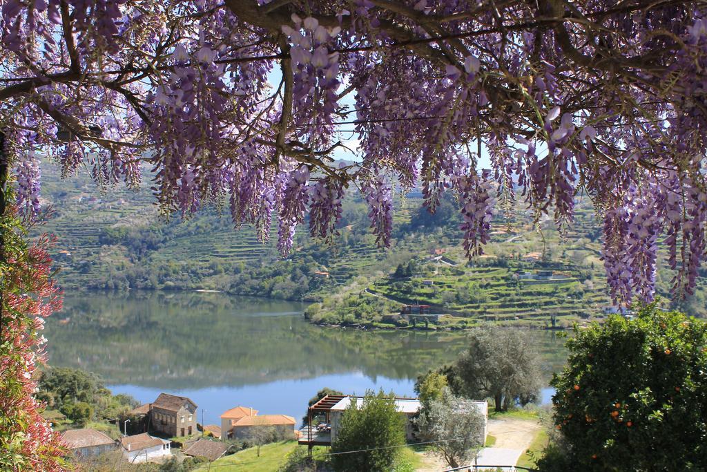 Quinta Das Quintas & Spa Baião Exteriör bild